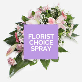 Florist Choice Spray - My Store