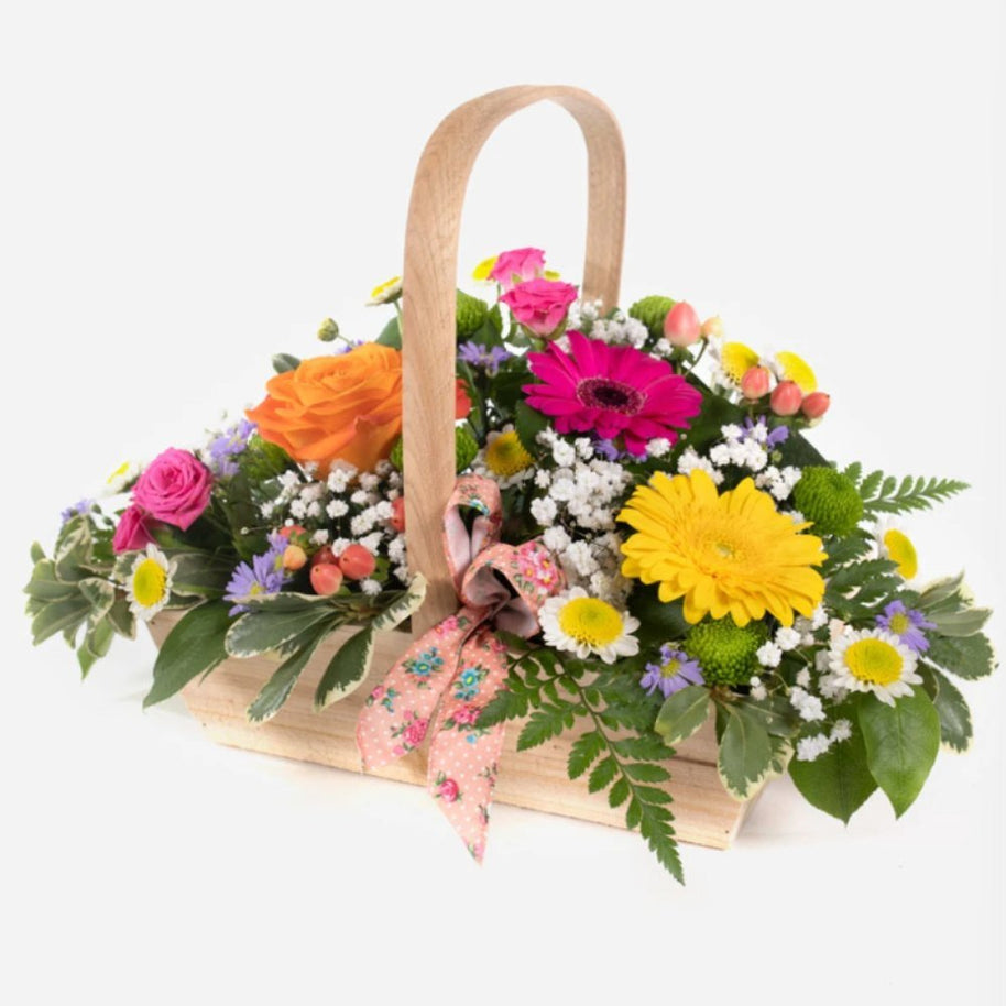 Sherbet Twist - Elaine's Flowers