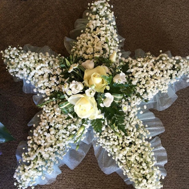 Star - My Store