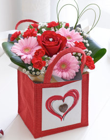 Valentine's Gift Bag